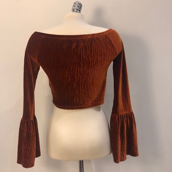 Velvet Flounce Sleeve Top - Picture 2 of 2